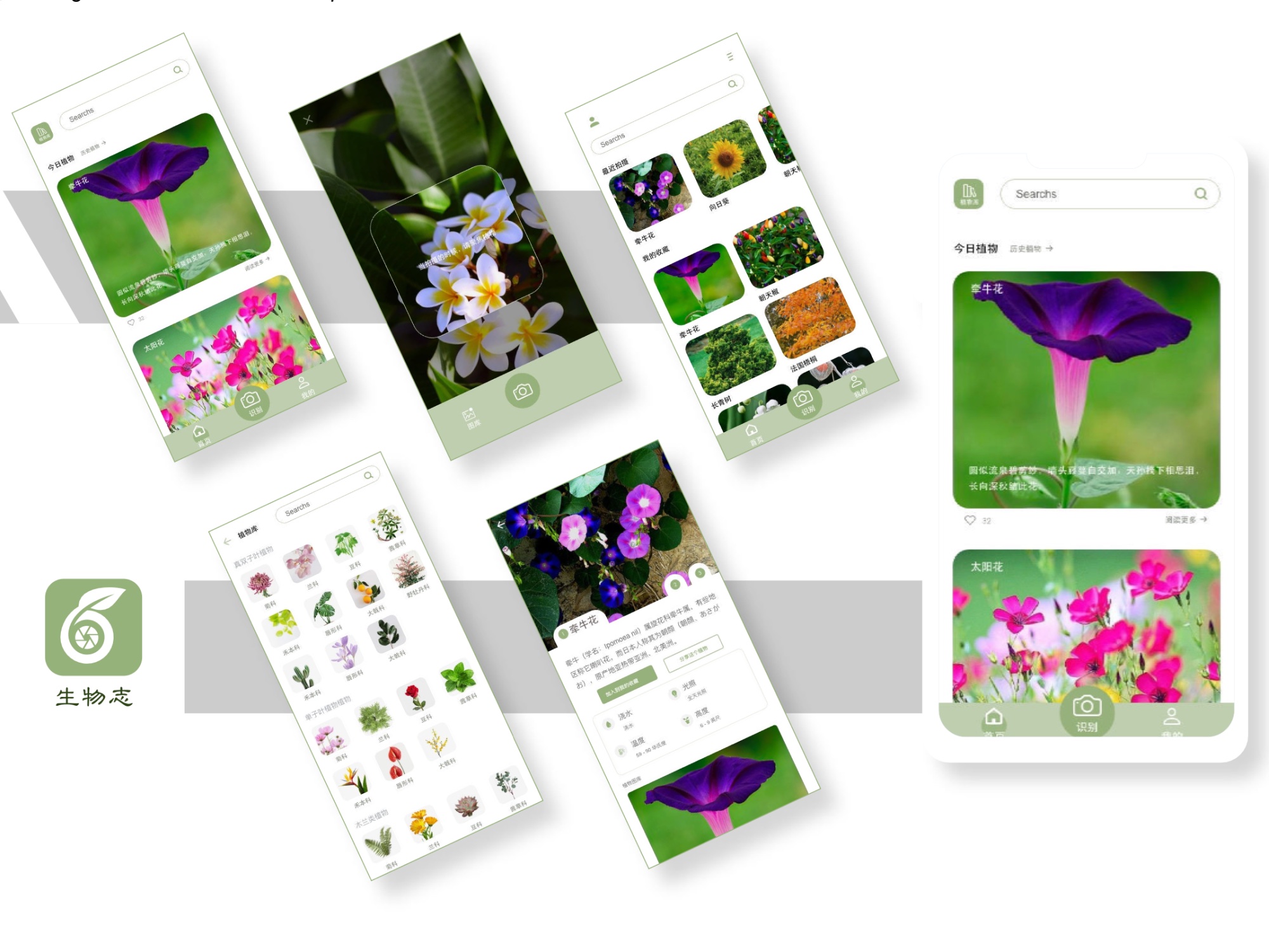 Zhiwu Zhi - Plant Identifier